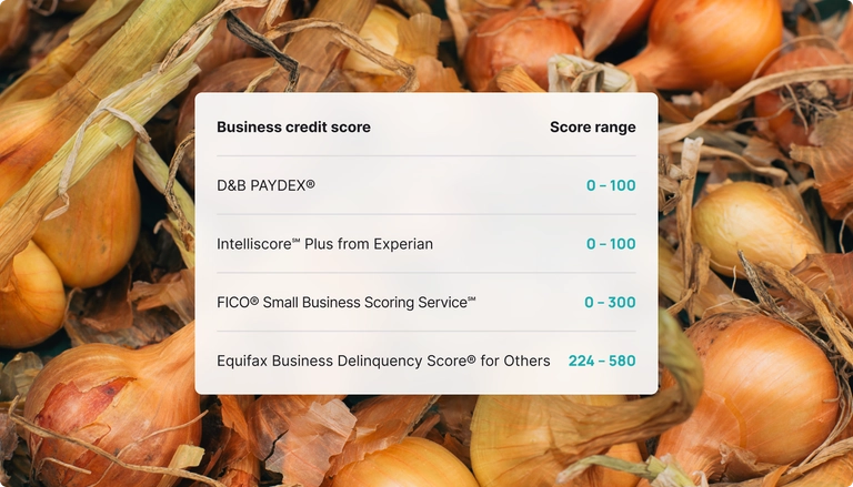 Business credit scores dashboard